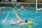 WWPolo vs CC  Wheaton College Women’s Water Polo compete in their sports inaugural match vs Connecticut College. - Photo By: KEITH NORDSTROM : Wheaton, water polo, inaugural